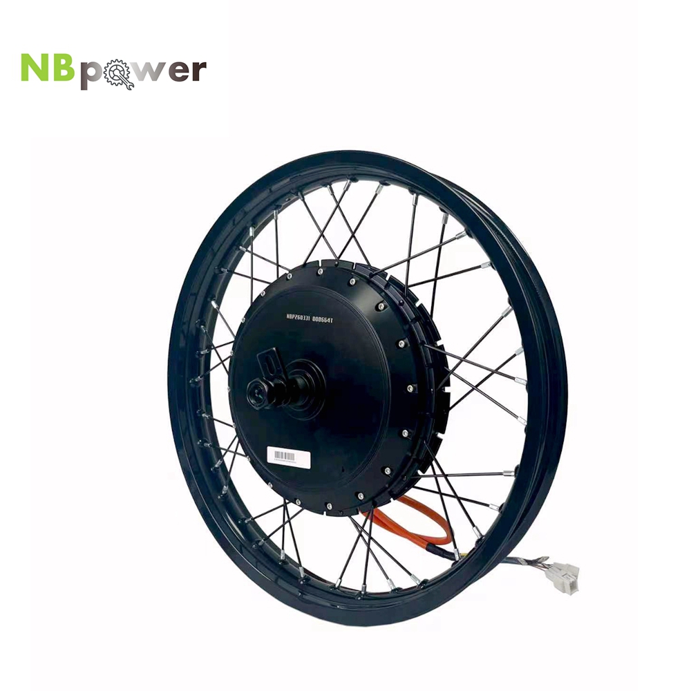 NBpower/170mm Dropout QS 273 4 - огляд і ціна Qs Motor 273 8000W Hub Motor